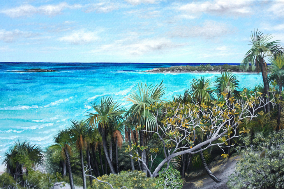 Isabell Heusinger Malerei Weltreise Neuseeland Bahamas