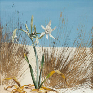 Isabell Heusinger Malerei Weltreise Frühe Arbeiten 2004 2005 2006 Florales Blume Ölmalerei