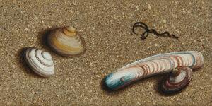 Isabell Heusinger Malerei Weltreise Frühe Arbeiten 2004 2005 2006 Kleinformat Muscheln Landschaft Meer Strand Ölmalerei