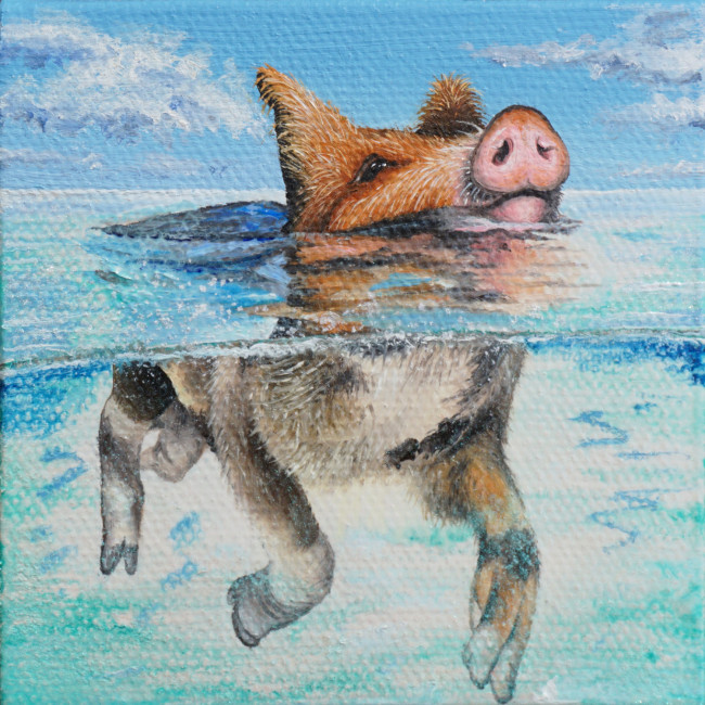 Isabell Heusinger Malerei Weltreise Schweinchen im Meer Schweine schwimmen Bahamas