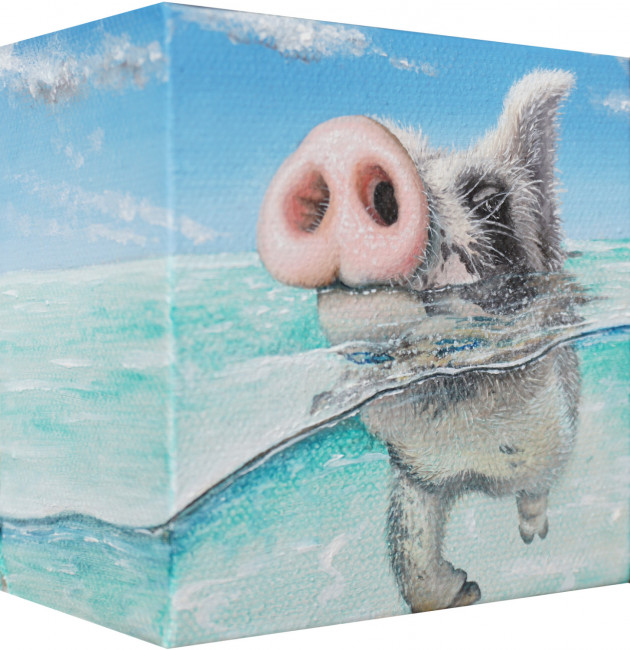 Isabell Heusinger Malerei Weltreise Schweinchen im Meer Schweine schwimmen Neuseeland Bahamas