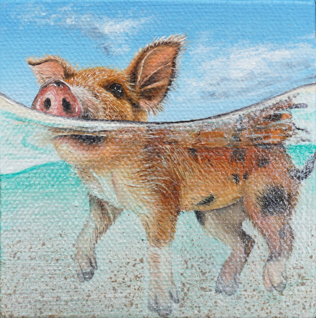 Isabell Heusinger Malerei Weltreise Neuseeland Bahamas Schweinchen im Meer Schweine schwimmen